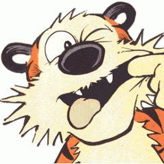 HobbeS-NL