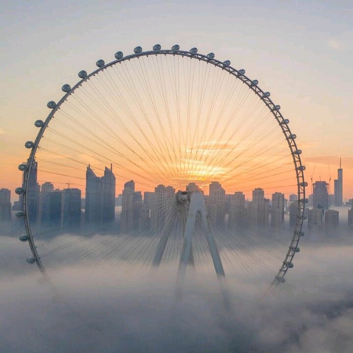 image_820912cf-a725-486c-96ae-ed7015f3add020210826_211348.jpg