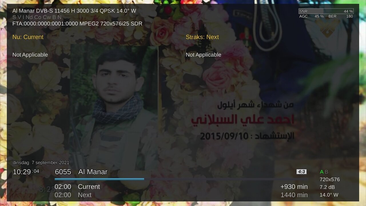 almanar oud.jpg