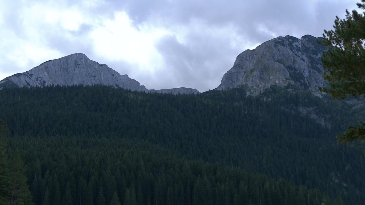 vlcsnap-2021-09-19-15h44m12s915.jpg