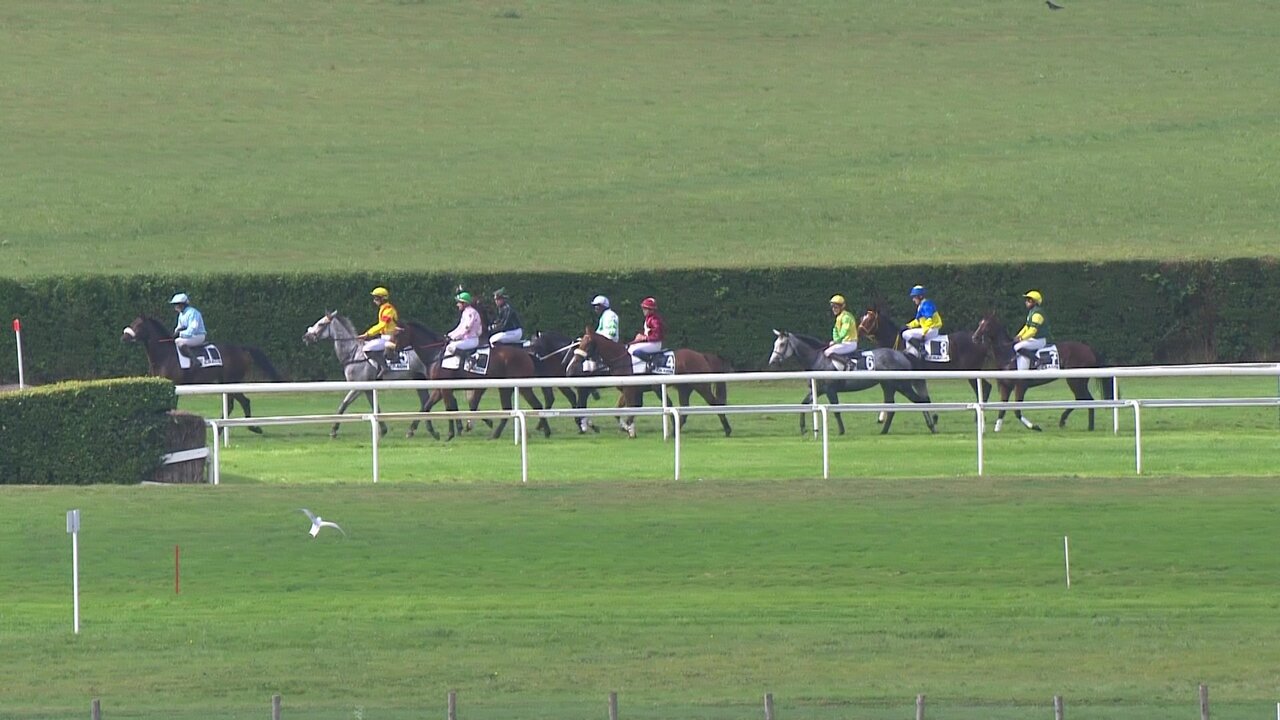 vlcsnap-2021-09-26-13h26m27s554.jpg