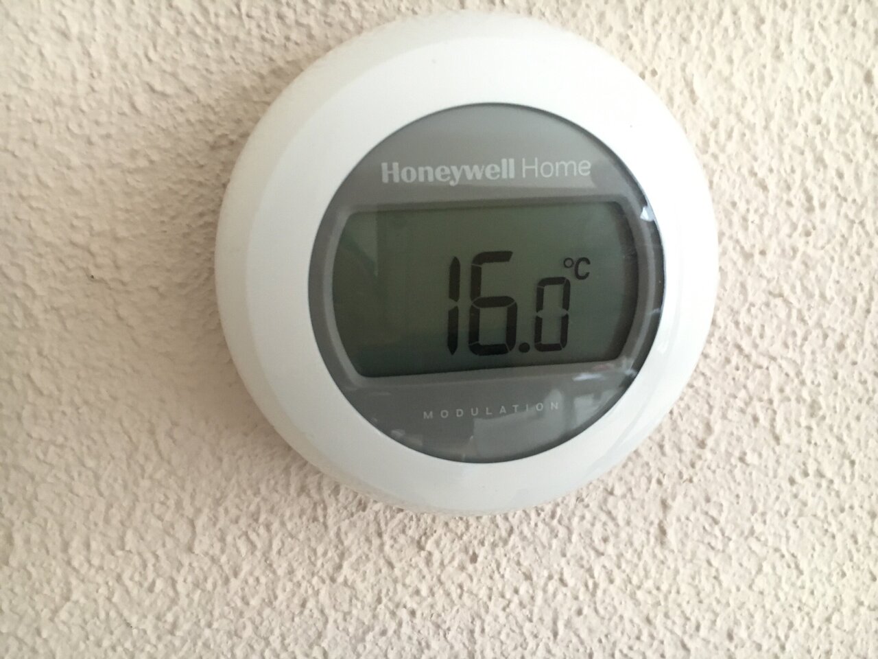 C96887E1-4463-4327-8E29-57BFB26B4000.jpeg