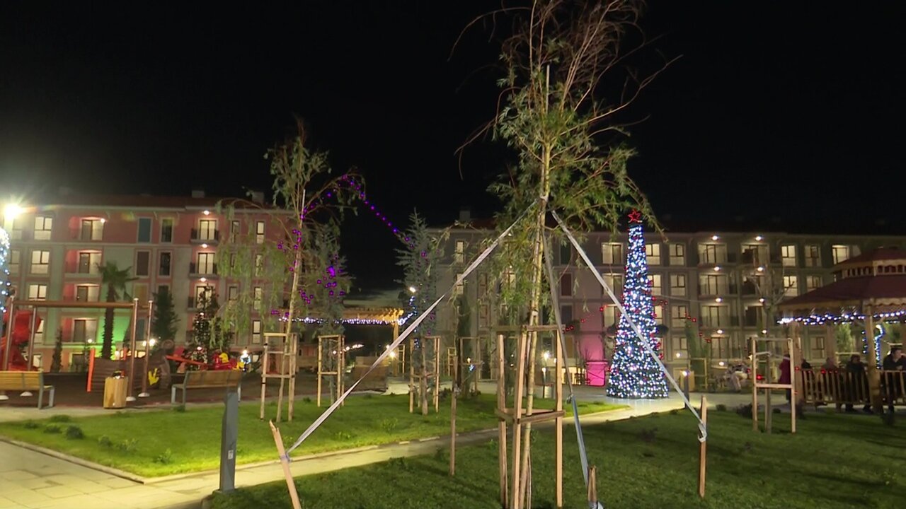 vlcsnap-2021-12-28-17h21m32s049.jpg