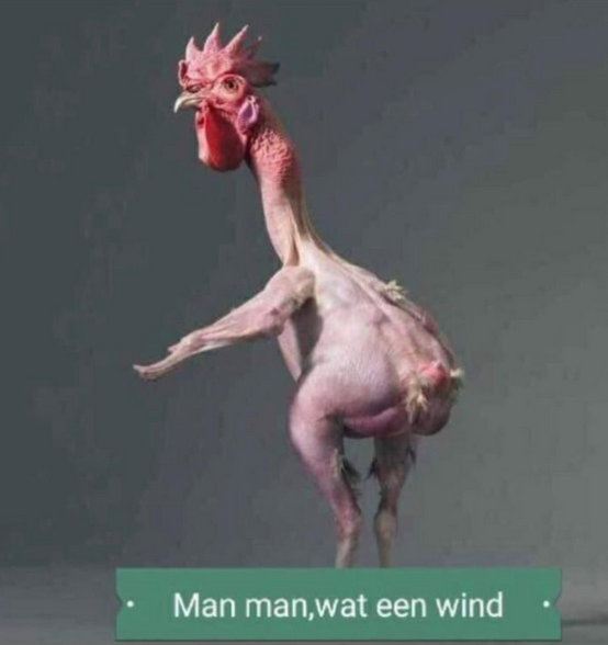 afbeelding.png.d814bf4a2294a85cb299feb51d5e7a1e.png