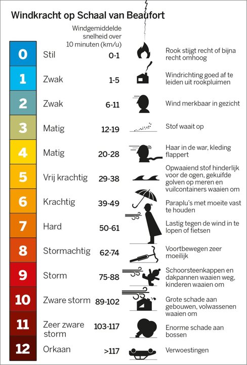 windkracht.jpg