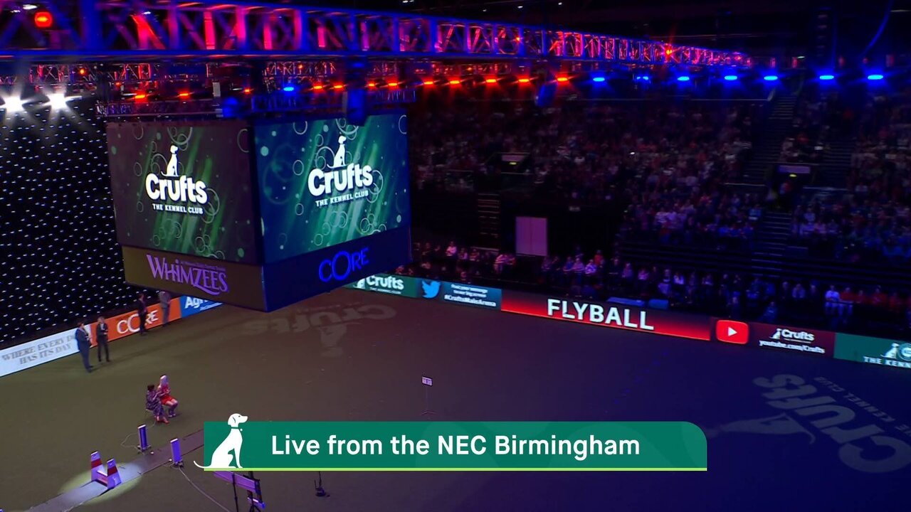 Ch4 Crufts Back up_0282 12637_V_15000_20220312_165313.jpg