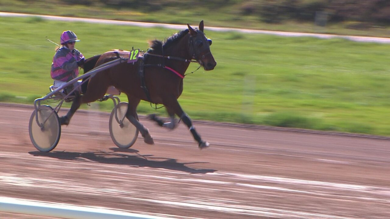 vlcsnap-2022-04-03-13h17m47s909.jpg