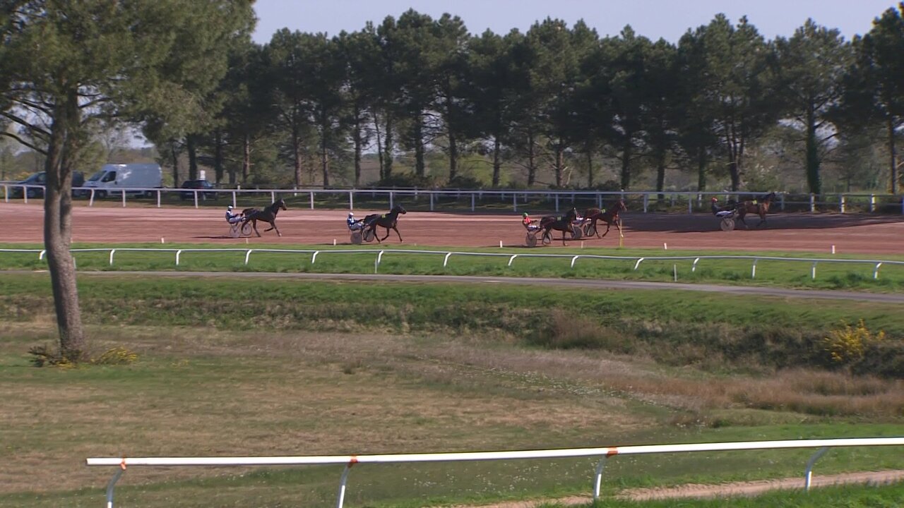 vlcsnap-2022-04-03-13h18m21s480.jpg