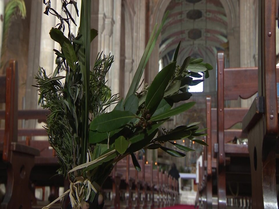 vlcsnap-2022-04-10-15h19m09s006.jpg