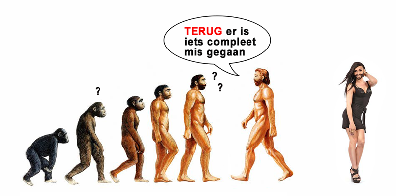 evolution-in-motion-nieuw.png.e8229d749d8fef55c09e0b82880b4194.png