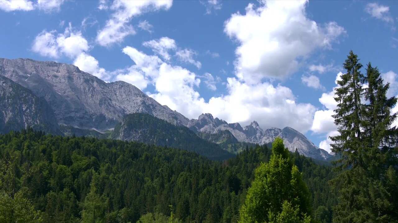 vlcsnap-2022-06-26-11h52m43s981.jpg