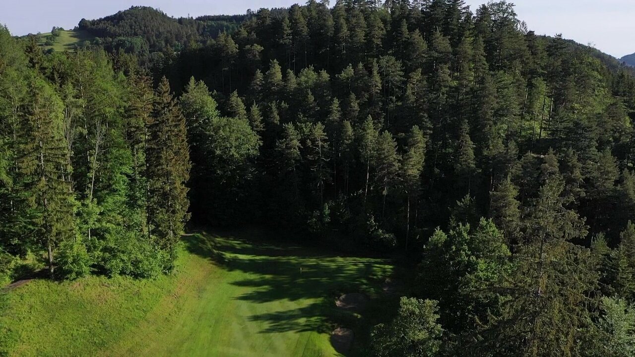 vlcsnap-2022-07-16-13h58m09s444.jpg
