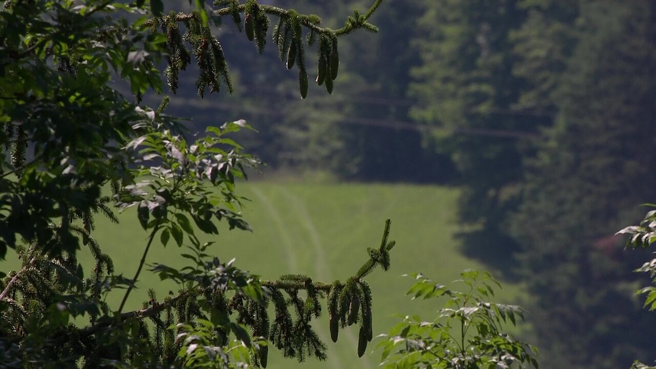 vlcsnap-2022-07-16-14h14m24s902.jpg