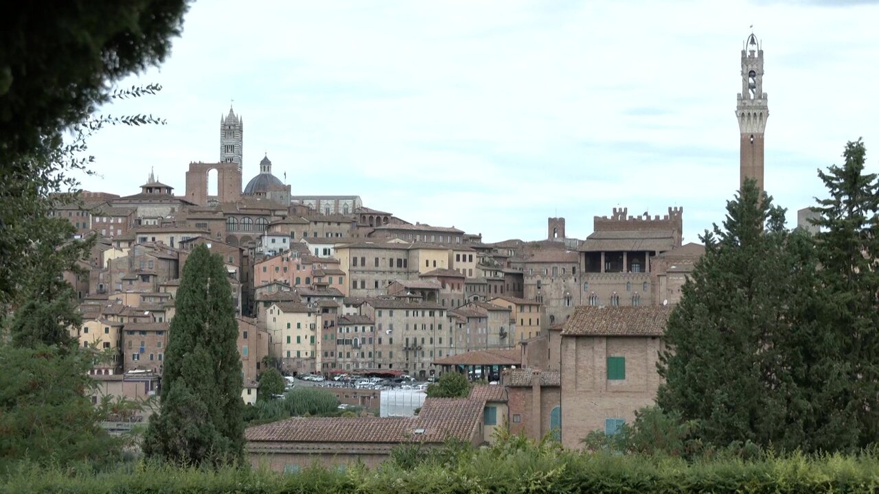 vlcsnap-2022-08-17-17h49m06s677.jpg
