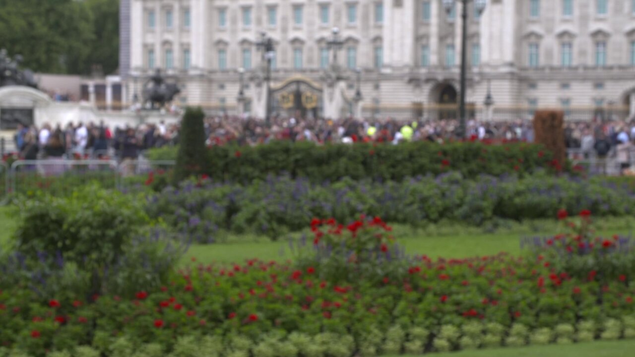 vlcsnap-2022-09-09-20h50m32s300.jpg