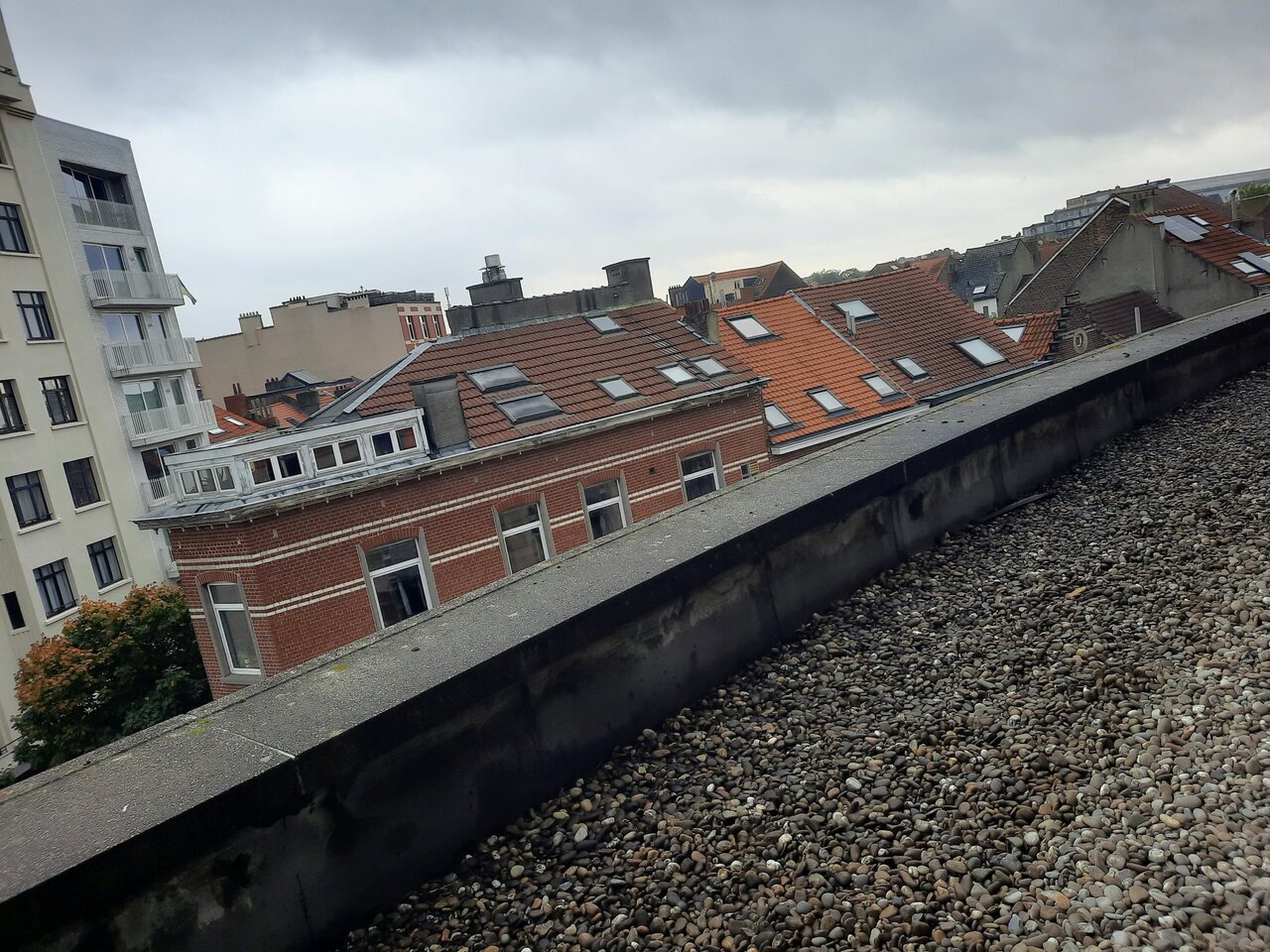 20221013_143147.jpg