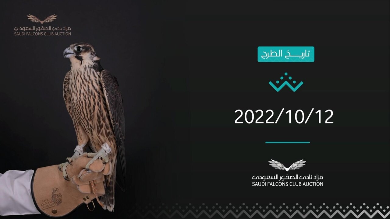 vlcsnap-2022-10-12-20h36m12s329.jpg