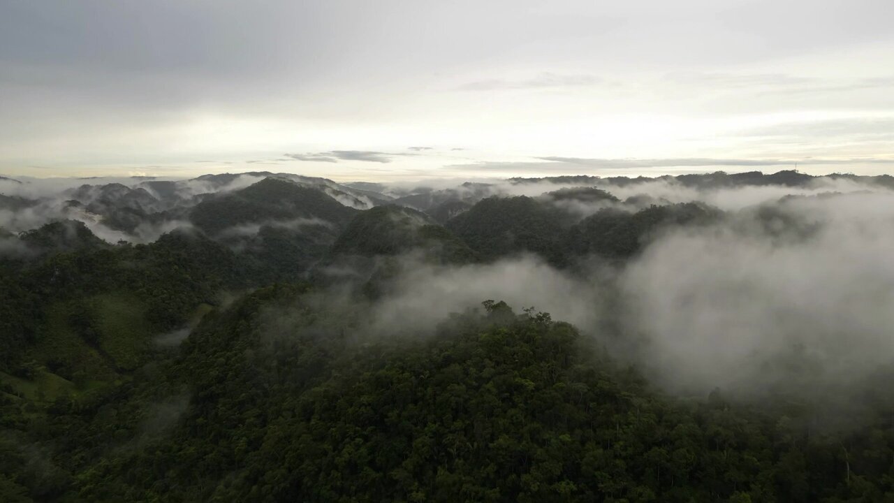 vlcsnap-2022-10-20-22h54m14s166.jpg