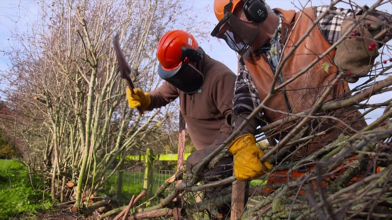 vlcsnap-2022-12-05-22h13m33s093.jpg