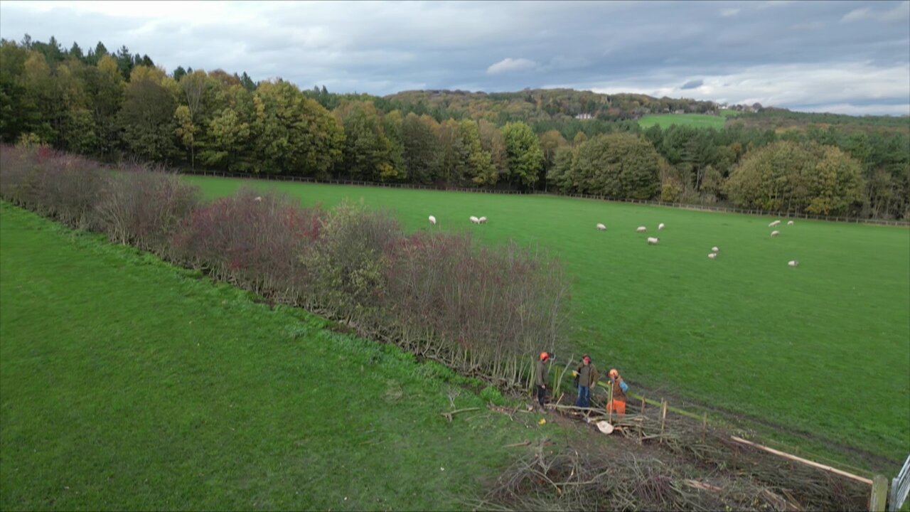 vlcsnap-2022-12-05-22h14m09s226.jpg