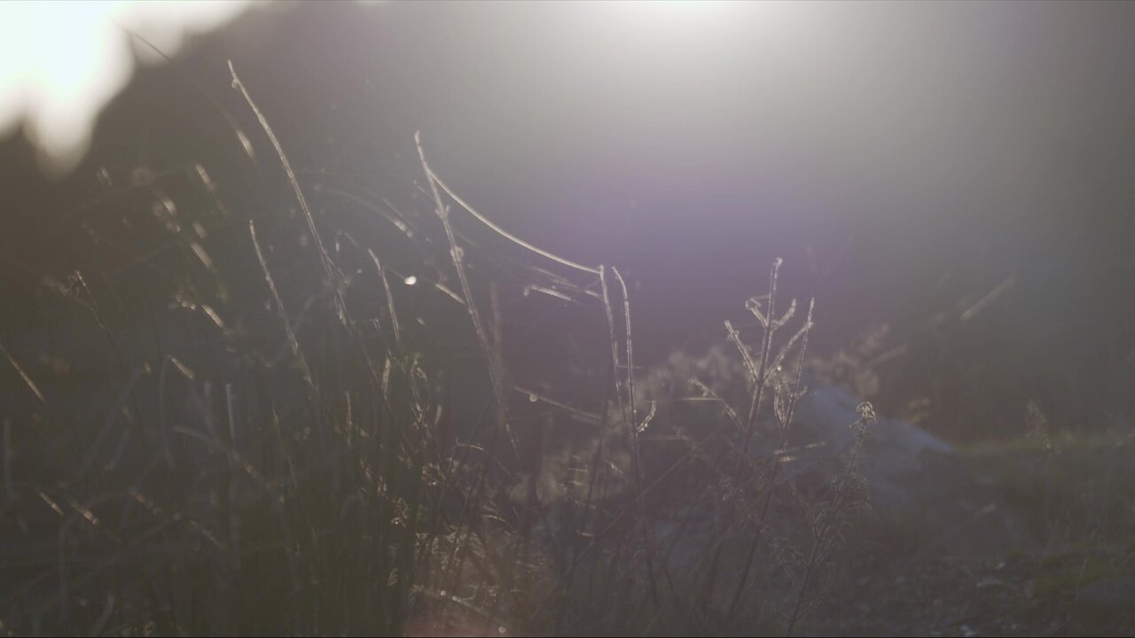 vlcsnap-2022-12-05-22h16m19s144.jpg