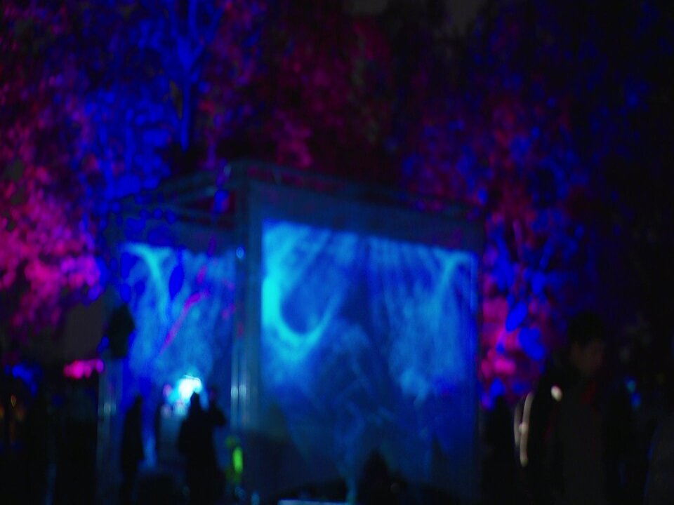 vlcsnap-2022-12-08-20h45m19s503.jpg