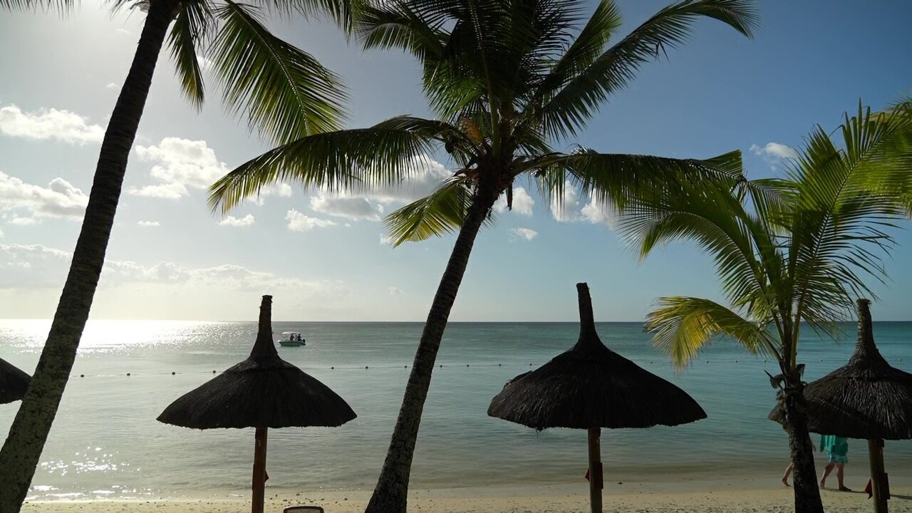 vlcsnap-2022-12-16-13h26m55s941.jpg