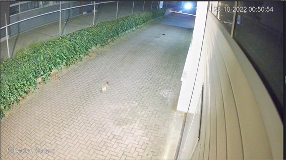 94739826_laaglichtcamerazijkant.jpg.01df1c385a32fe8ffa50c1fdad19702c.jpg