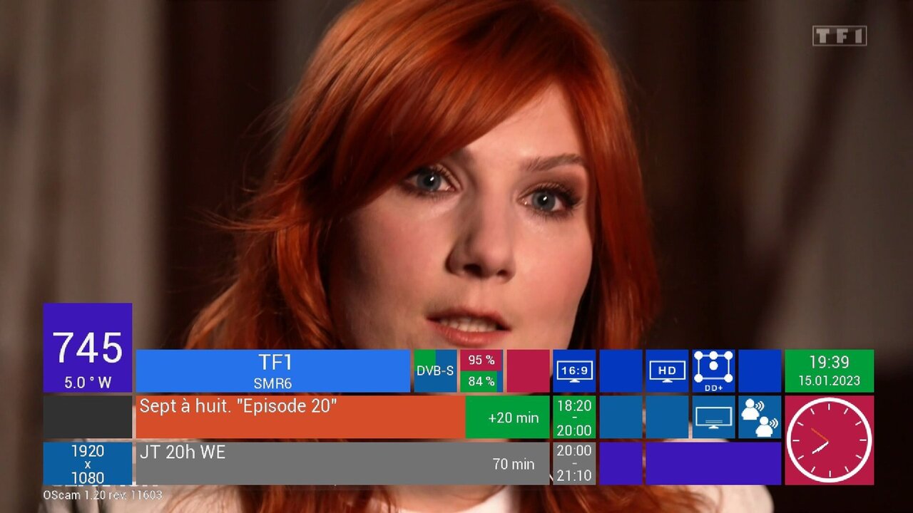 tf1.jpg