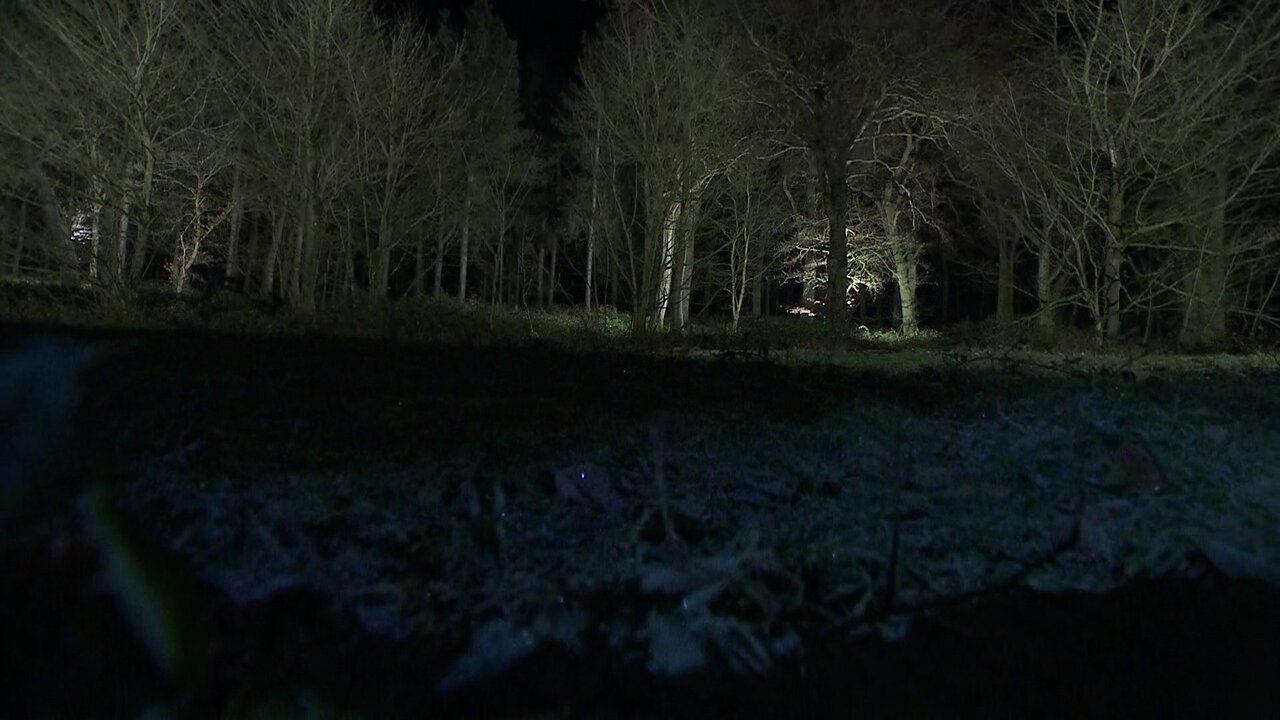 vlcsnap-2023-01-17-21h00m44s539.jpg