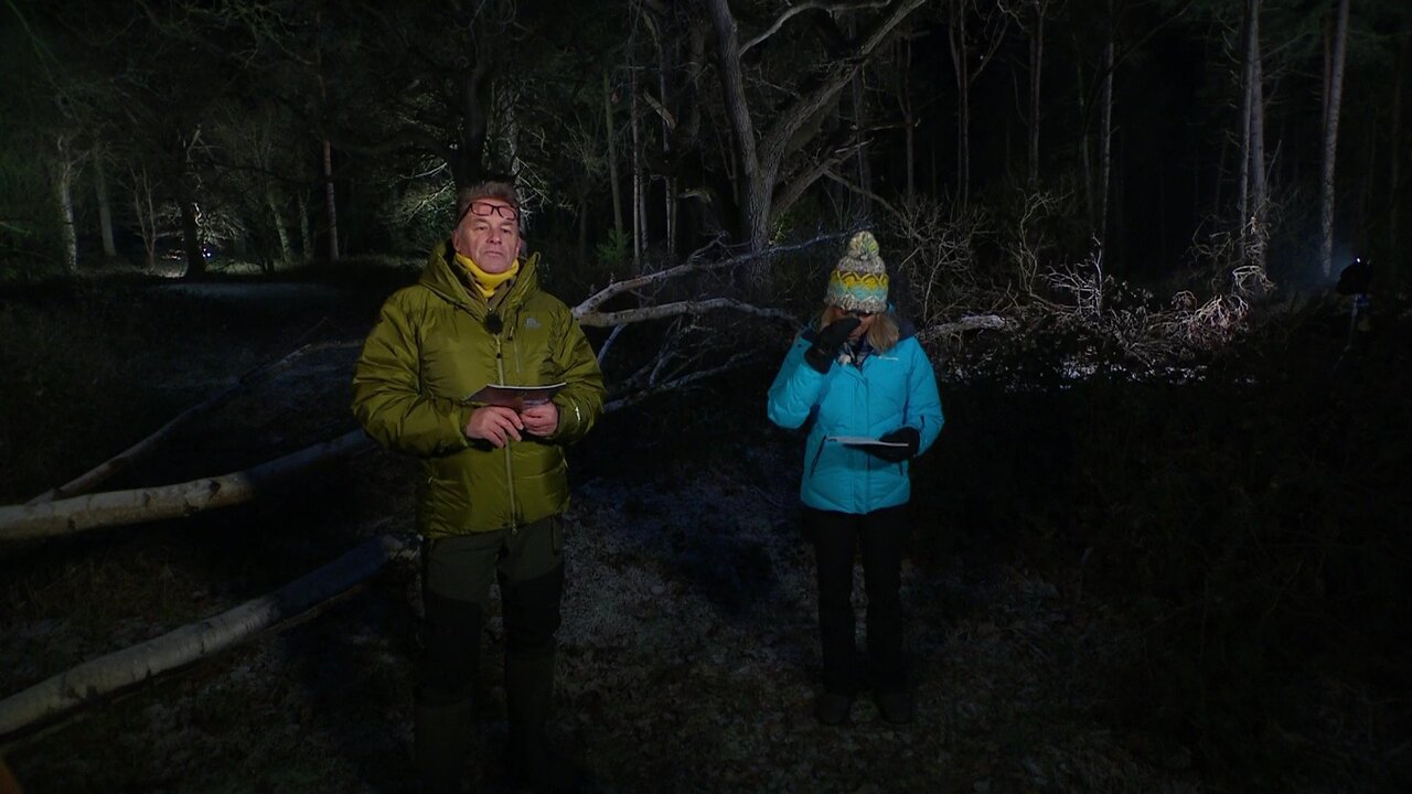 vlcsnap-2023-01-24-22h10m08s099.jpg