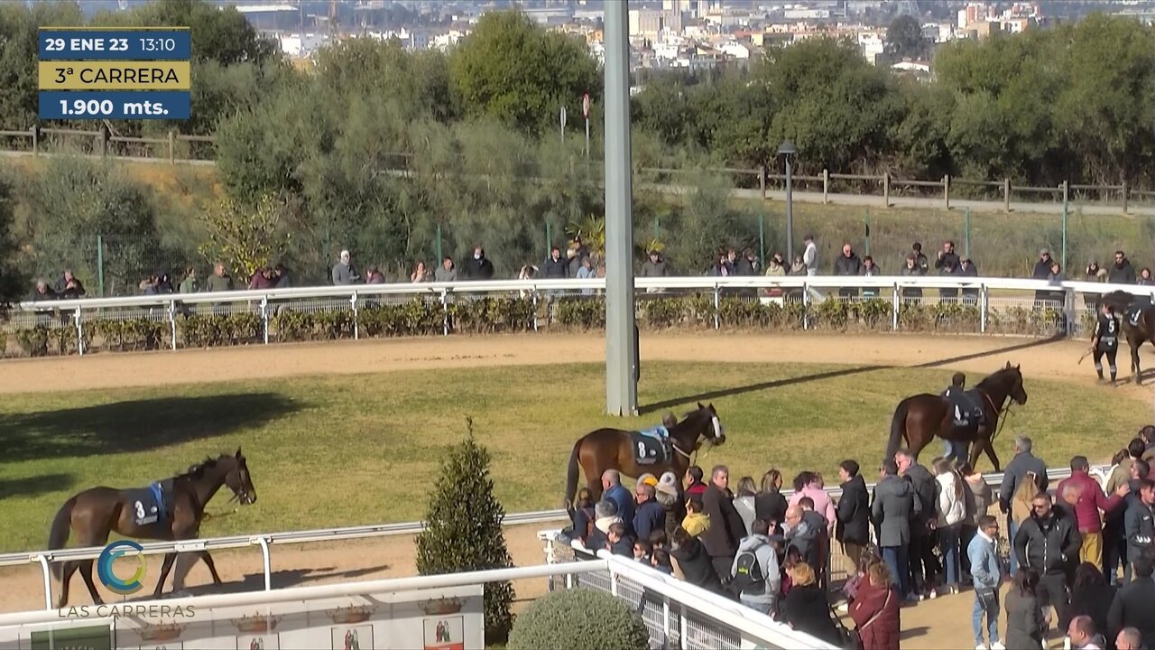 vlcsnap-2023-01-29-13h32m17s122.jpg