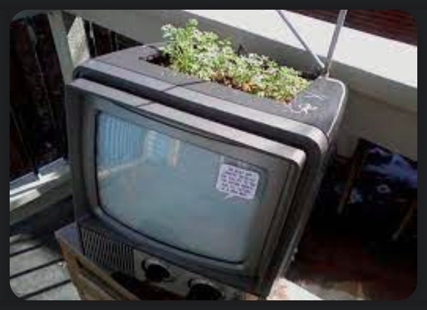 1308130712_OudeTVplantenoplossing.jpg.26947d98f5d475e40a38f24c6fd30735.jpg