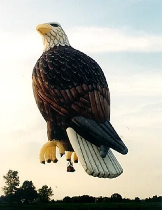 428708203_USAspyballoon.jpg.a1cbe0863c67564bffadc8433869d02f.jpg