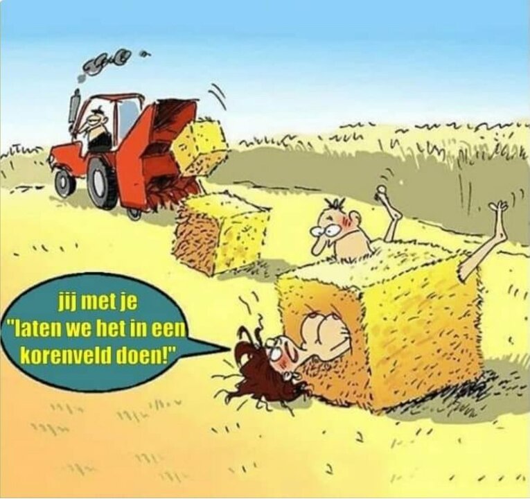 648055515_inhetkorenveld.thumb.jpg.bdd0f1cc2d075e2647cbd411667cd21b.jpg