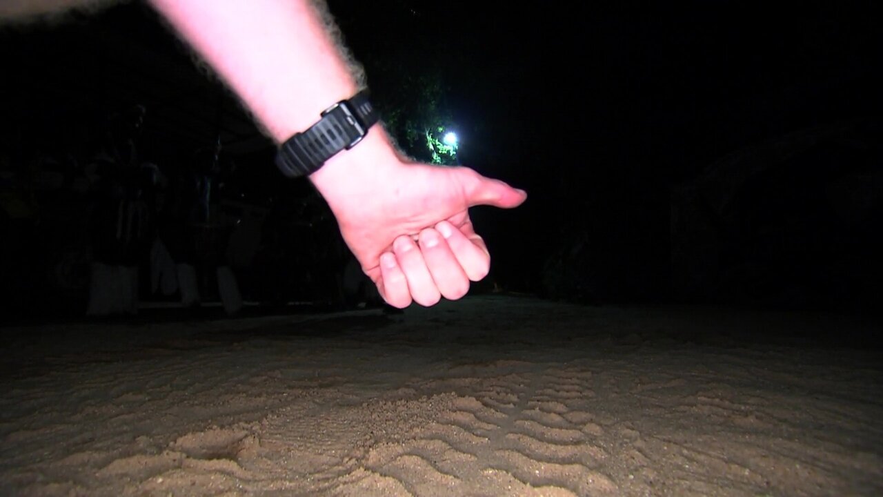 vlcsnap-2023-02-05-22h03m07s390.jpg