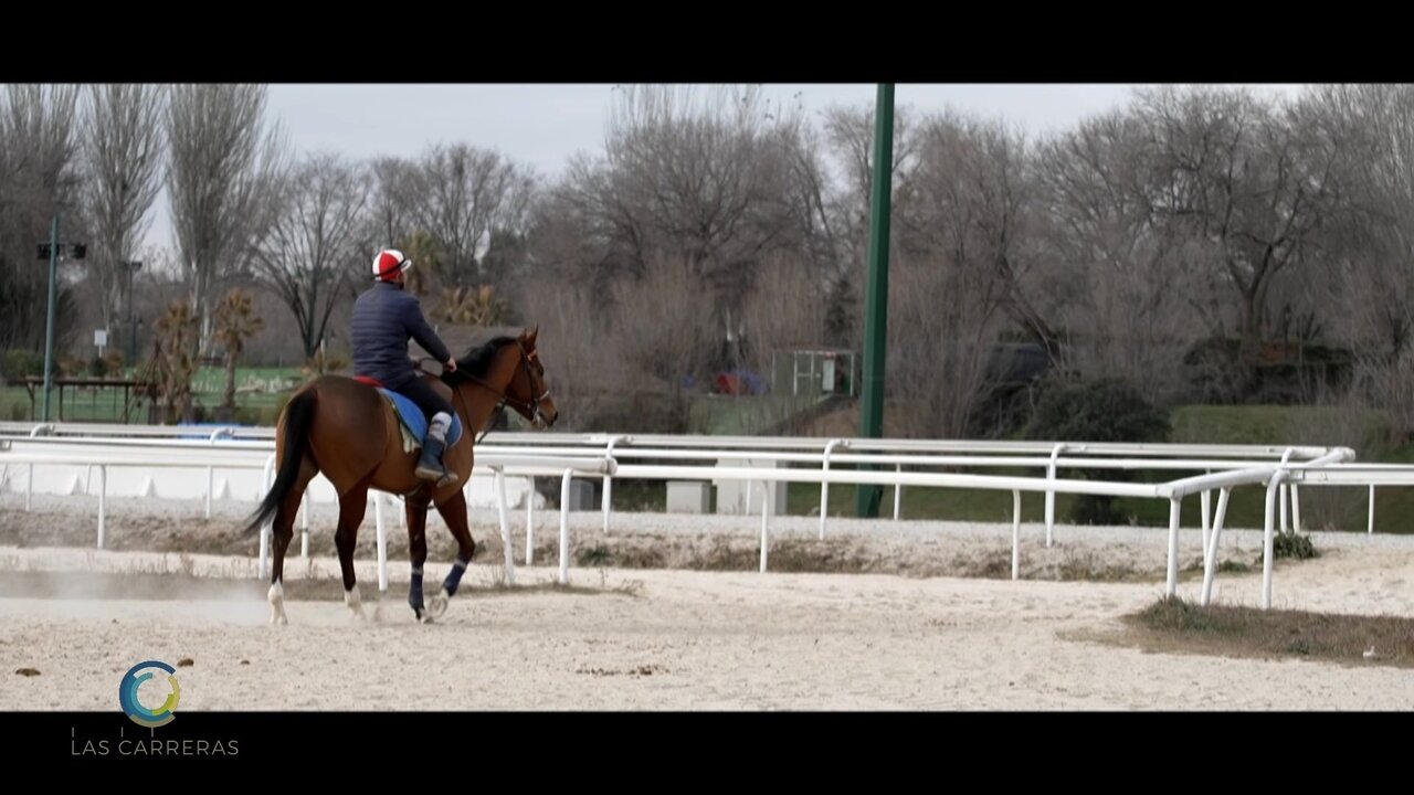 vlcsnap-2023-02-19-15h08m16s447.jpg