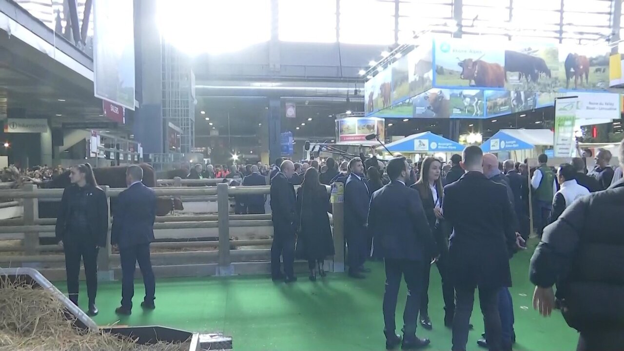 vlcsnap-2023-02-25-14h29m01s480.jpg