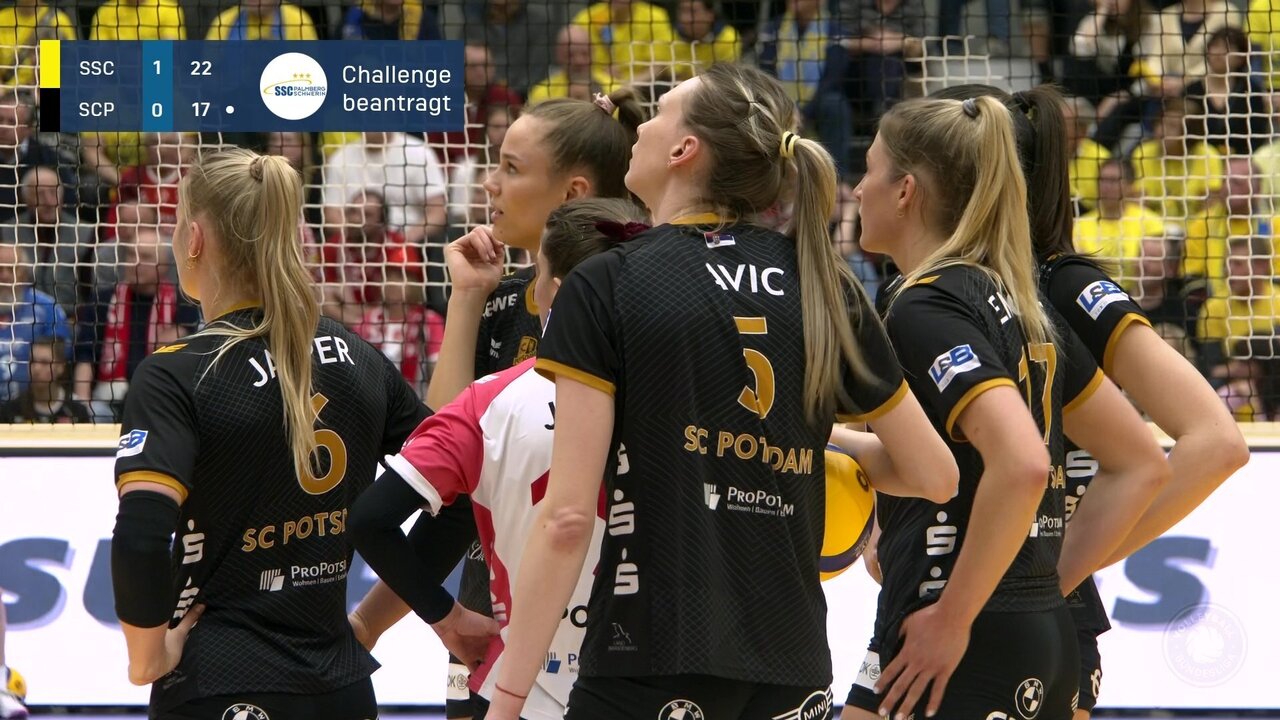 vlcsnap-2023-03-25-18h19m22s474.jpg