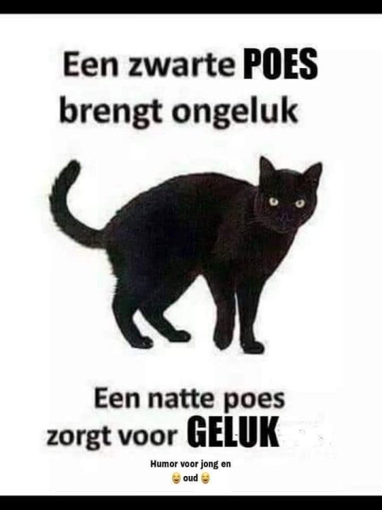 FB_IMG_1681230547328.jpg