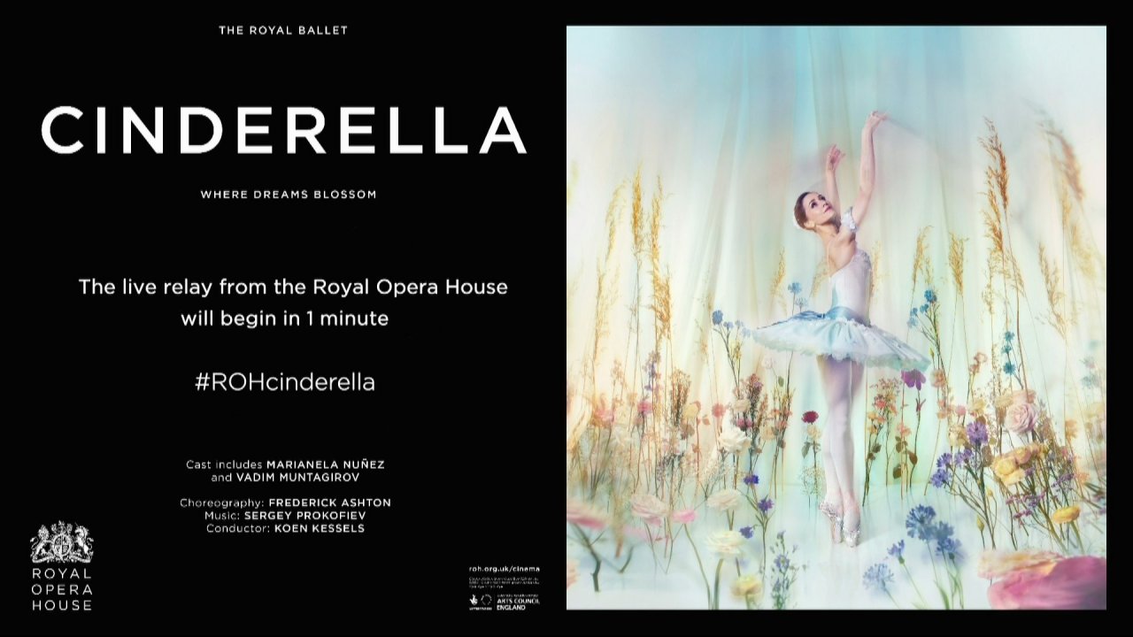 cinderella.jpg