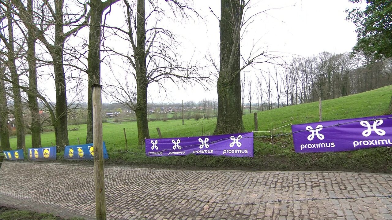 vlcsnap-2023-04-02-11h35m43s103.jpg