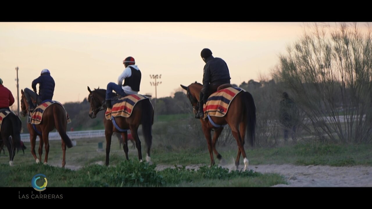 vlcsnap-2023-04-02-13h57m28s099.jpg