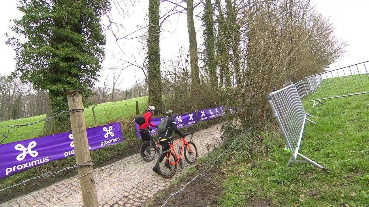 vlcsnap-2023-04-02-13h58m46s877.jpg