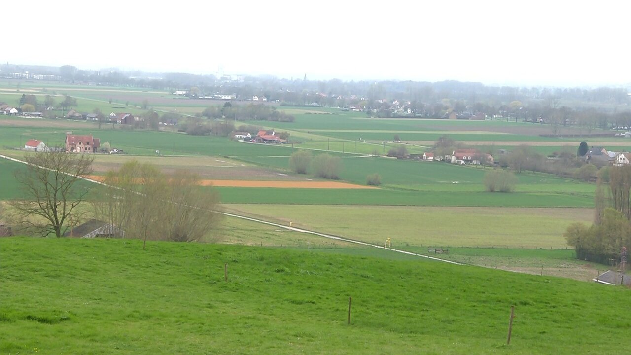 vlcsnap-2023-04-02-14h15m13s095.jpg
