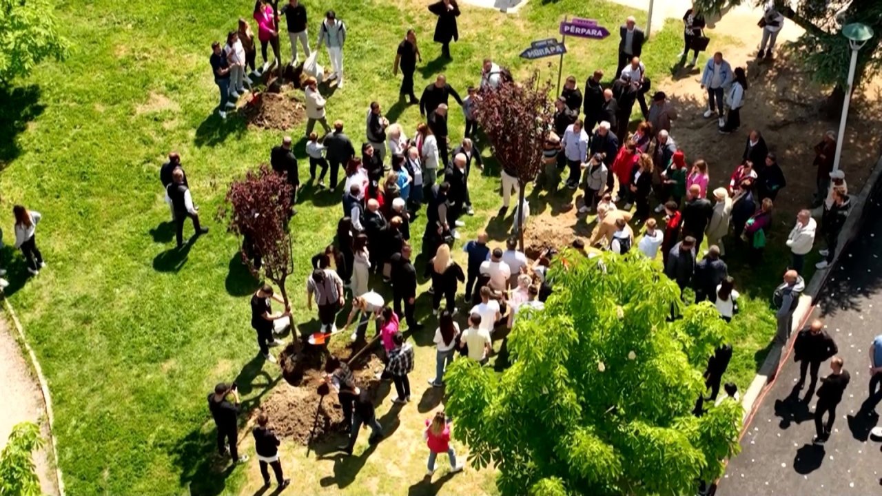 vlcsnap-2023-04-23-12h15m57s824.jpg