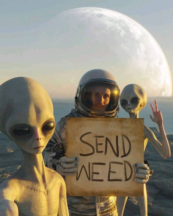 Sendweed.thumb.jpg.05236f4ef31c573564ed7ea7b1a1ba71.jpg