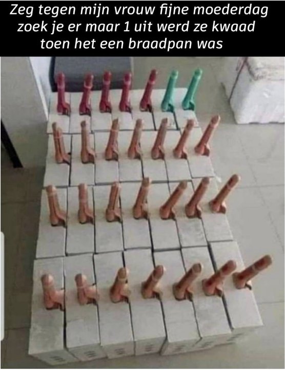 braadpan.thumb.jpg.733f3ecbbc84866f44cc85769287e520.jpg
