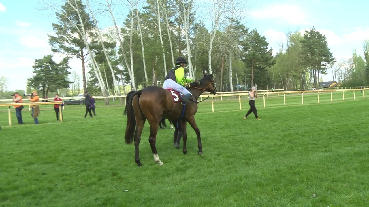 vlcsnap-2023-05-01-16h06m09s834.jpg