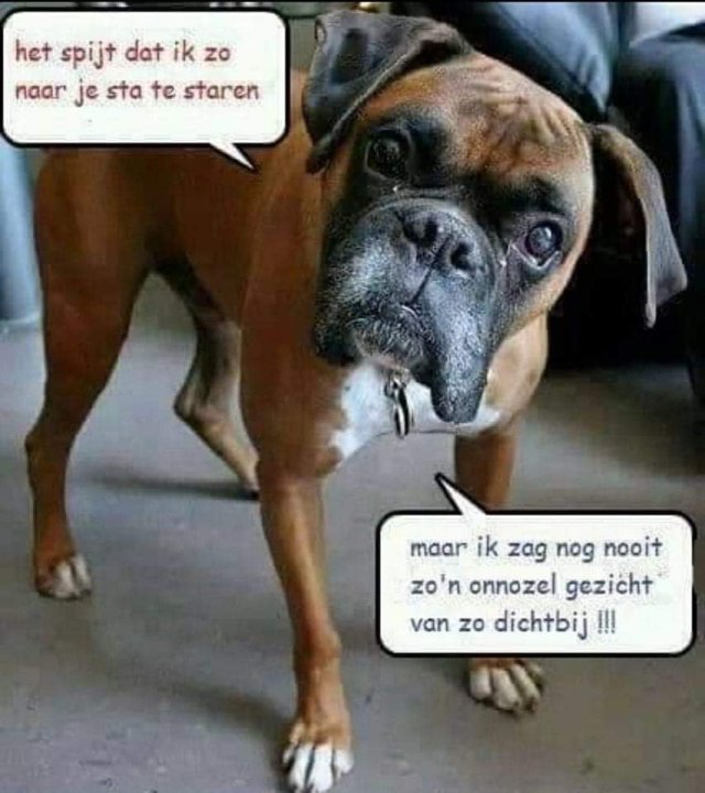 FB_IMG_1685636699274.jpg
